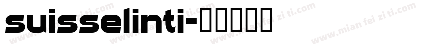 suisselinti字体转换