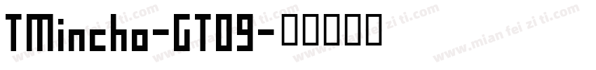 TMincho-GT09字体转换