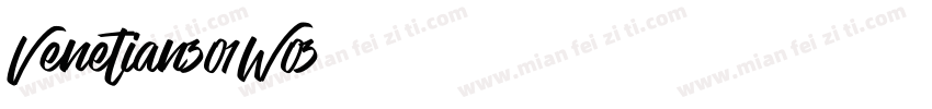Venetian301W03字体转换