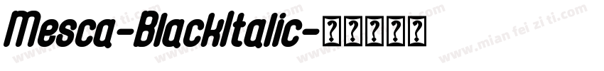 Mesca-BlackItalic字体转换