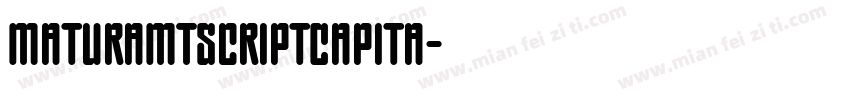 MaturaMTScriptCapita字体转换