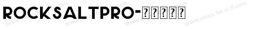 RockSaltPro字体转换