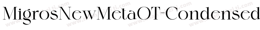 MigrosNewMetaOT-CondensedBook字体转换