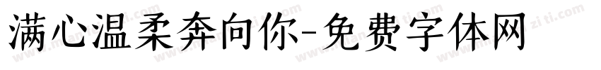 满心温柔奔向你字体转换