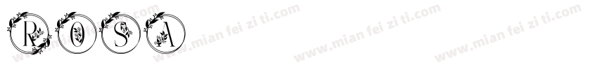 Rosa字体字体转换