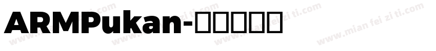 ARMPukan字体转换