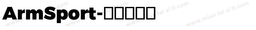 ArmSport字体转换