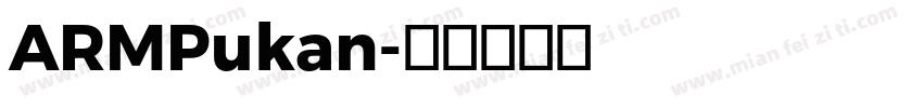 ARMPukan字体转换
