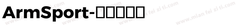 ArmSport字体转换