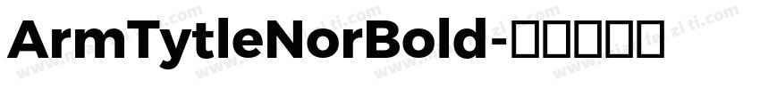 ArmTytleNorBold字体转换
