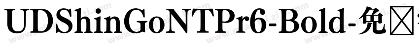 UDShinGoNTPr6-Bold字体转换