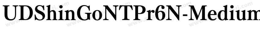 UDShinGoNTPr6N-Medium字体转换