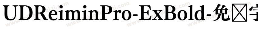 UDReiminPro-ExBold字体转换