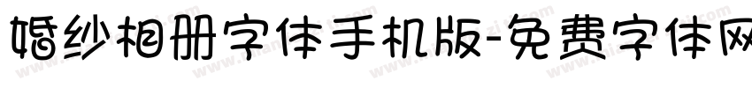 婚纱相册字体手机版字体转换