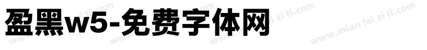 盈黑w5字体转换