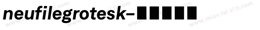 neufilegrotesk字体转换