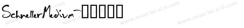 SchnellerMedium字体转换