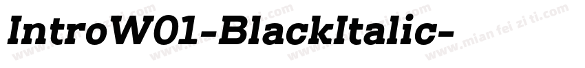 IntroW01-BlackItalic字体转换