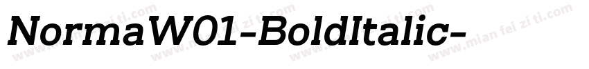 NormaW01-BoldItalic字体转换