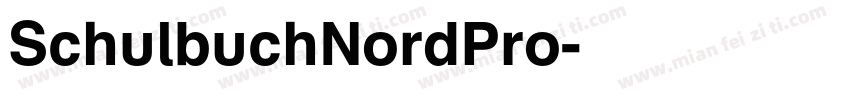 SchulbuchNordPro字体转换