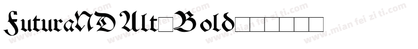 FuturaNDAlt-Bold字体转换
