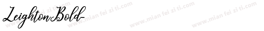 LeightonBold字体转换