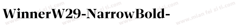 WinnerW29-NarrowBold字体转换