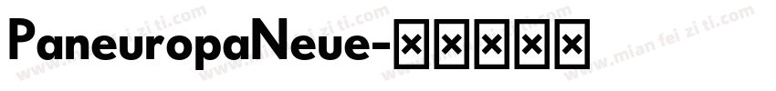PaneuropaNeue字体转换