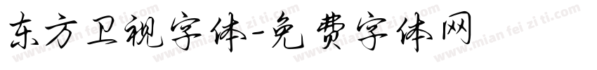 东方卫视字体字体转换