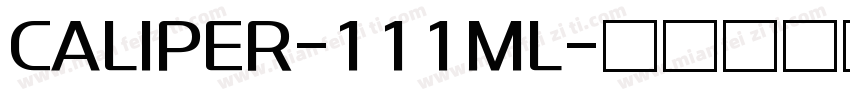 CALIPER-111ML字体转换