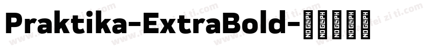 Praktika-ExtraBold字体转换