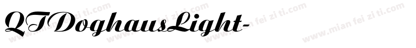 QTDoghausLight字体转换