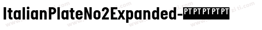 ItalianPlateNo2Expanded字体转换