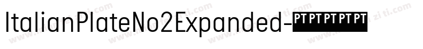 ItalianPlateNo2Expanded字体转换