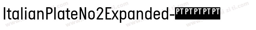 ItalianPlateNo2Expanded字体转换