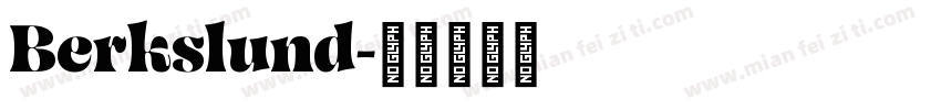 Berkslund字体转换