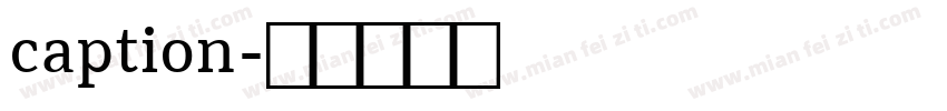 caption字体转换