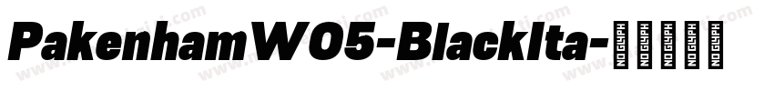 PakenhamW05-BlackIta字体转换