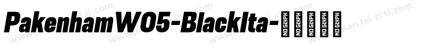 PakenhamW05-BlackIta字体转换