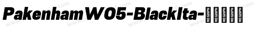 PakenhamW05-BlackIta字体转换