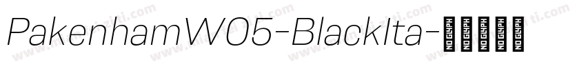 PakenhamW05-BlackIta字体转换