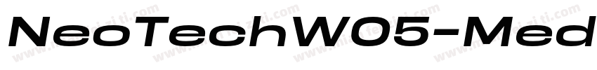 NeoTechW05-MediumIta字体转换
