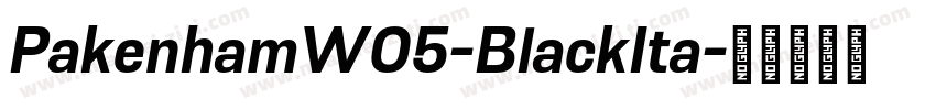 PakenhamW05-BlackIta字体转换