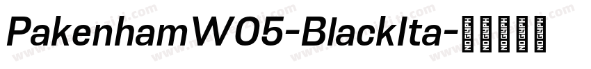 PakenhamW05-BlackIta字体转换