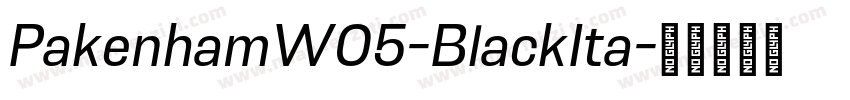 PakenhamW05-BlackIta字体转换