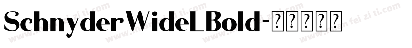 SchnyderWideLBold字体转换