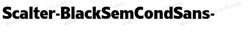 Scalter-BlackSemCondSans字体转换