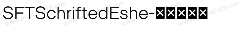 SFTSchriftedEshe字体转换