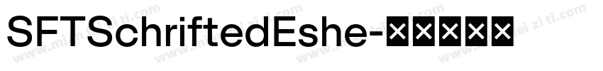 SFTSchriftedEshe字体转换