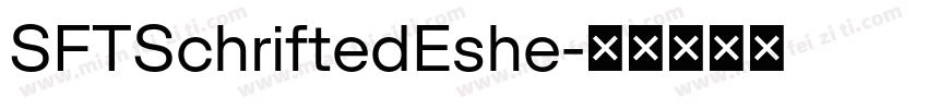 SFTSchriftedEshe字体转换